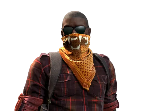 Agent